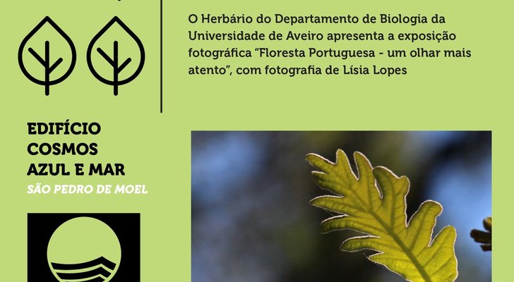 exposicao_floresta_portuguesa_cartaz